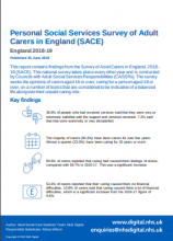 Personal social services Survey of Adult Carers in England (SACE): England 2018-19